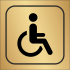 Neįgaliųjų tualetas  IVZ04